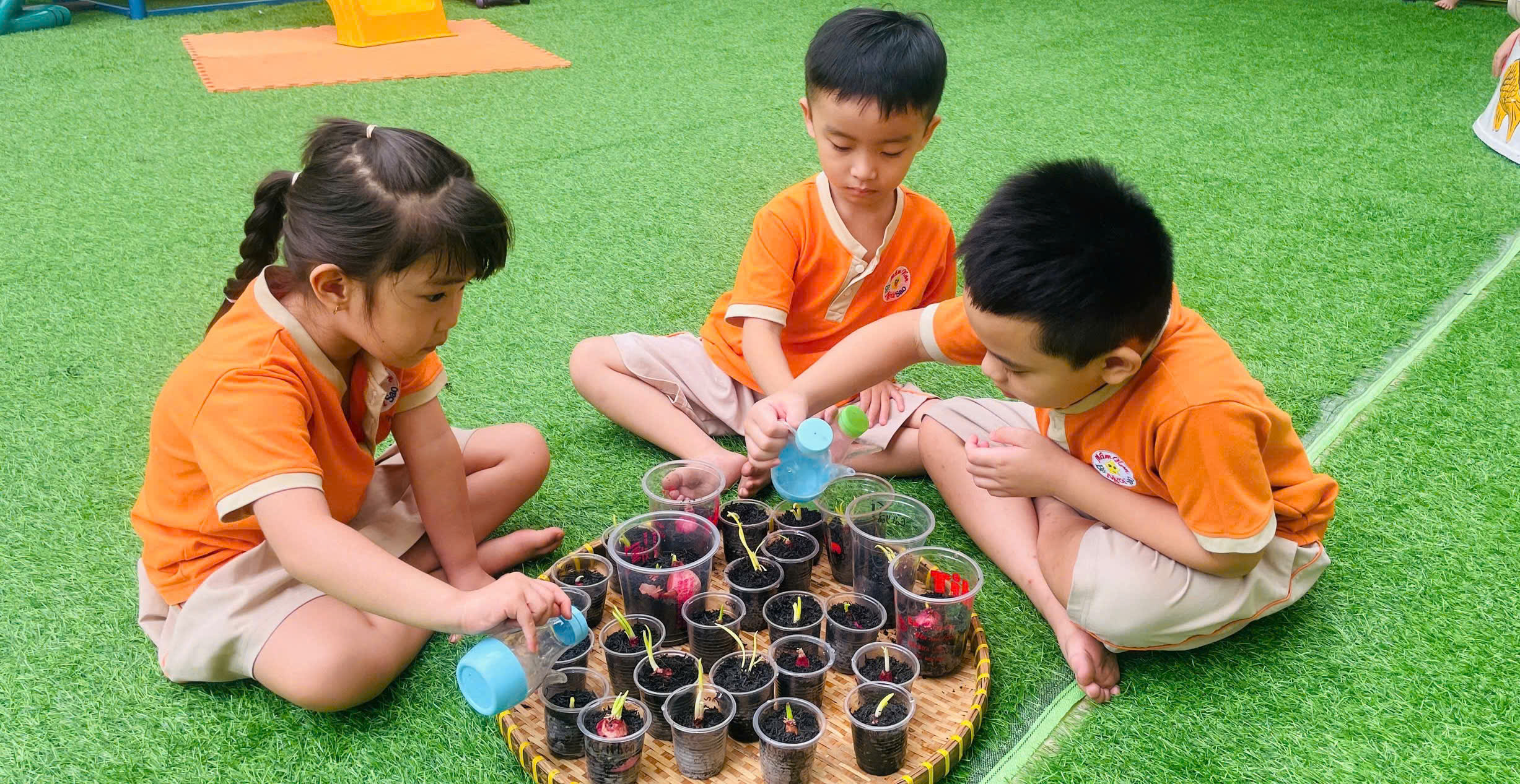 Hoạt động học tập